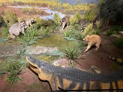 -陕西自然博物馆