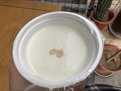 -奶酪魏(牛街总店)