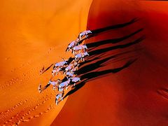 -罗红摄影艺术馆