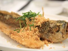 好味汁酥炸黄鱼-大树餐厅(朝阳大悦城店)