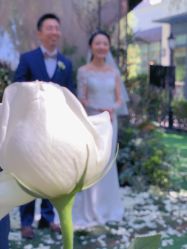 -福楼FLO·法餐婚宴(霄云路店)