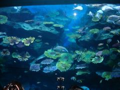 -暹罗海洋世界