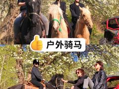 -沉浸北京·团建旅行·密室剧本杀·年会会议轰趴拓展