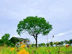 -贡湖湾湿地公园