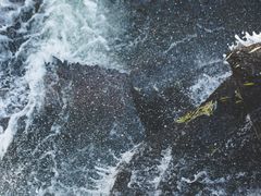 -洛阳白云山景区