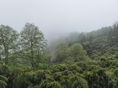 -莫干山风景区
