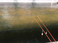 -会江钓鱼钓虾烧烤场