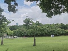 -莲花山公园