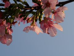 -宝墨园景区