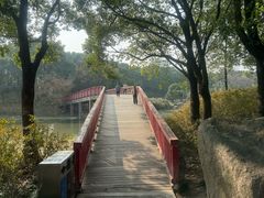 -美兰湖景区
