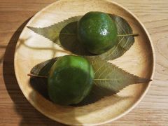 -柴务处·柴犬主题狗咖