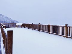 -白草畔自然风景区