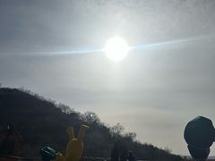 -北京张裕爱斐堡酒庄