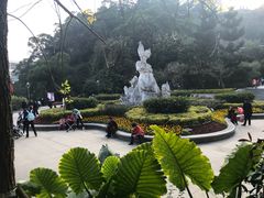景点-金鸡山公园