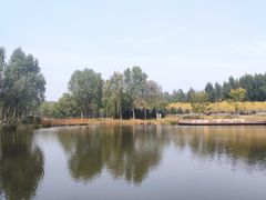 -东郊湿地公园