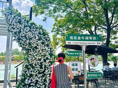 -南京金牛湖风景区