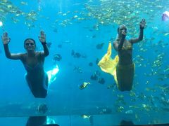 -瑞德姆美人鱼海底演艺主题餐厅(亚龙湾店)
