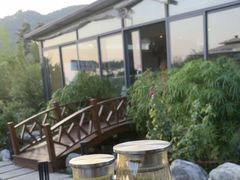 -蘇河湾·新鲁菜·泰山宴(泰山店)