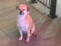 -湖北融合菜(一路店)