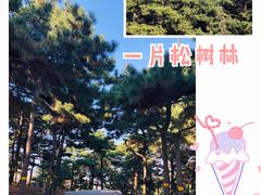 -北京西山国家森林公园