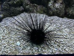 -大连老虎滩海洋公园