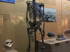 -国家自然博物馆