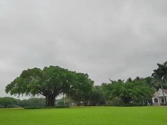 -万绿园
