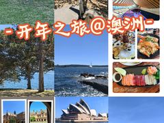 -悉尼歌剧院