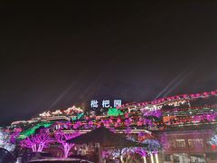 -枇杷园食为鲜火锅(南山店)