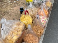 -中山市树木园