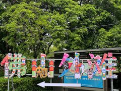 -王借岗森林公园