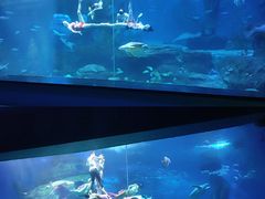 -多彩贵州城极地海洋世界