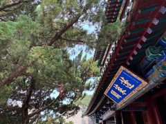-长岛南北长山旅游景区