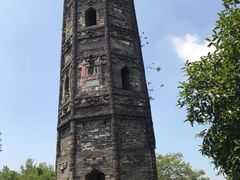 -上海佘山国家森林公园天马山园