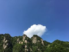 -王顺山国家森林公园