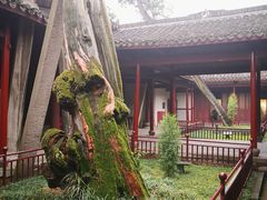 -太平天国侍王府