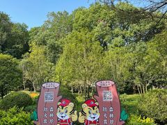 -上海佘山国家森林公园天马山园