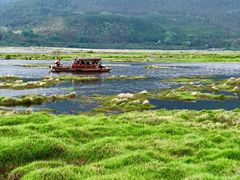 -腾冲北海湿地