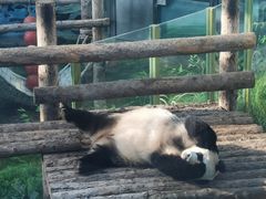 -大连森林动物园