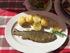 -布劳伽斯特豪夫哈尔施塔特宾馆