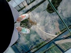 -梦幻奥陶纪景区