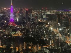 -六本木新城展望台(东京城市景观)