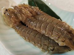 腌皮皮虾-渔娘渔家丹东海鲜(东直门店)