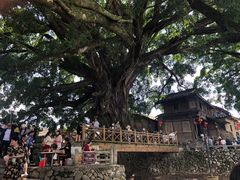 -福建土楼(南靖)景区
