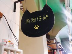 -猫咪博物馆(顶澳仔猫街店)