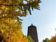 -玲珑塔公园