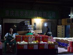-菜园坝水果市场