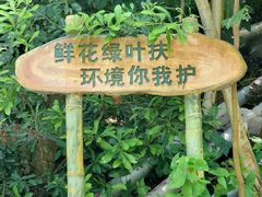 -仙岳公园