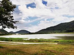 -风云岭森林公园