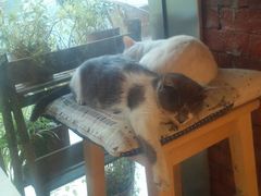 android_upload_pic-MIKAKU(万达广场上海宝山店)